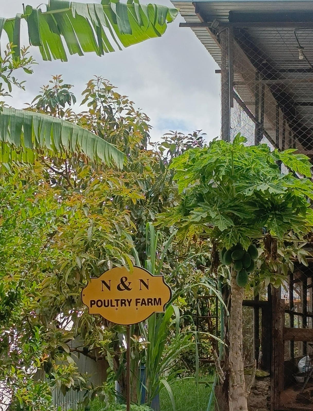 The N&N Poultry Farm entrance sign