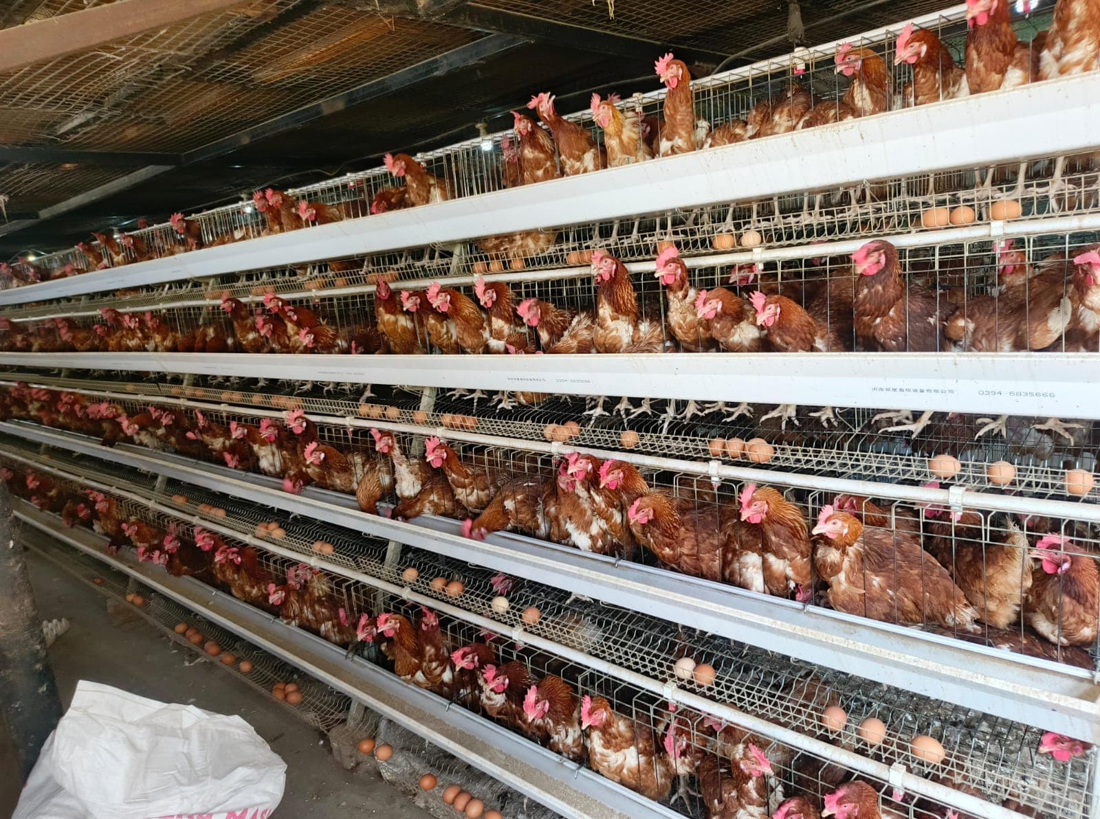 Peak Production: The Layer Phase